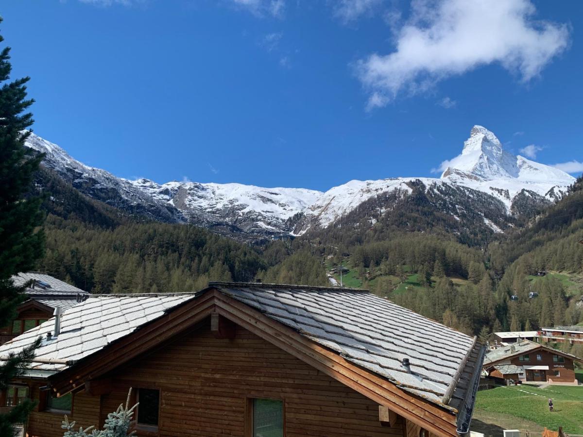 Matterhorn Panorama Apartment Zermatt Dış mekan fotoğraf